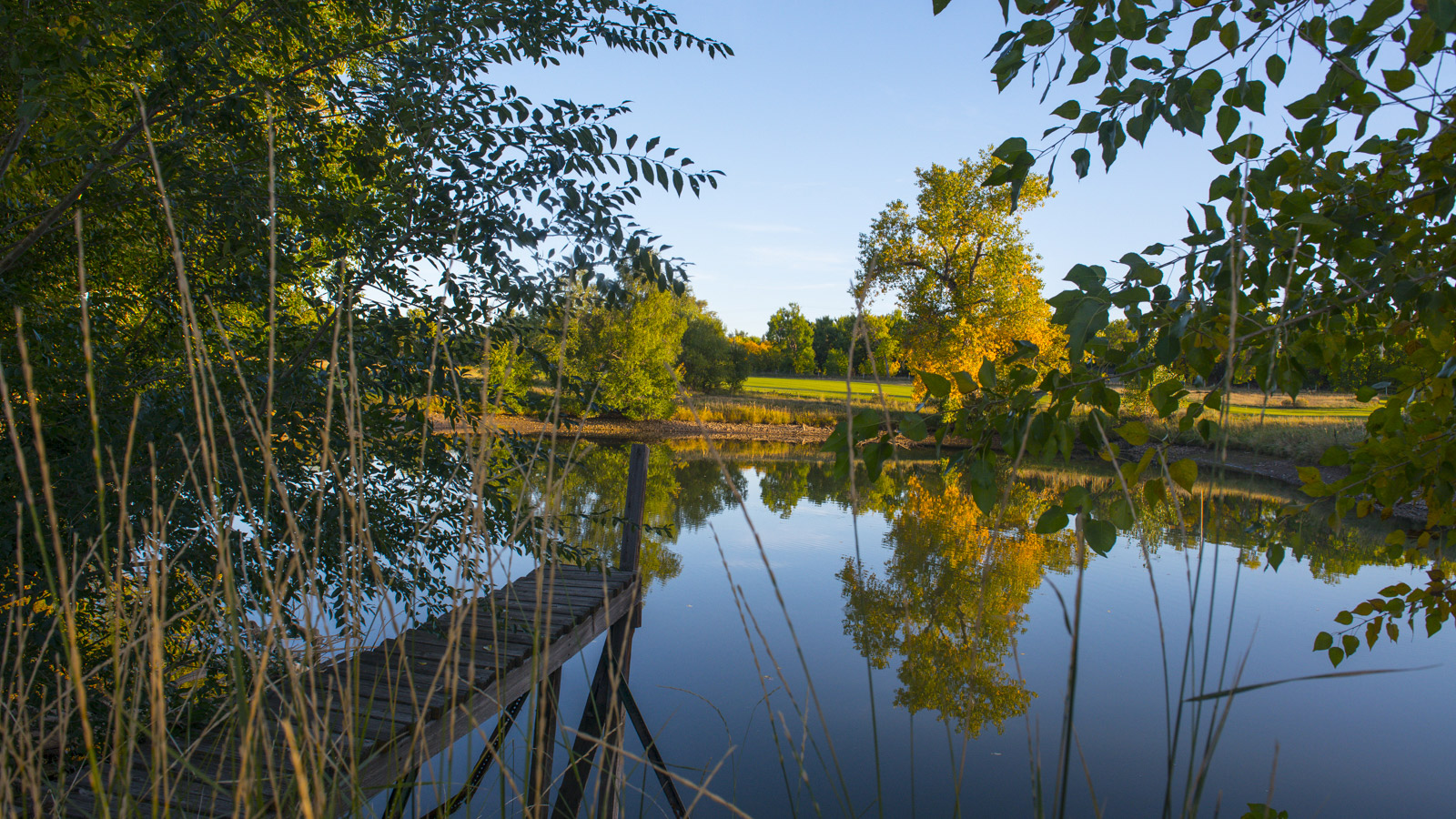 Applewood Golf Course 5