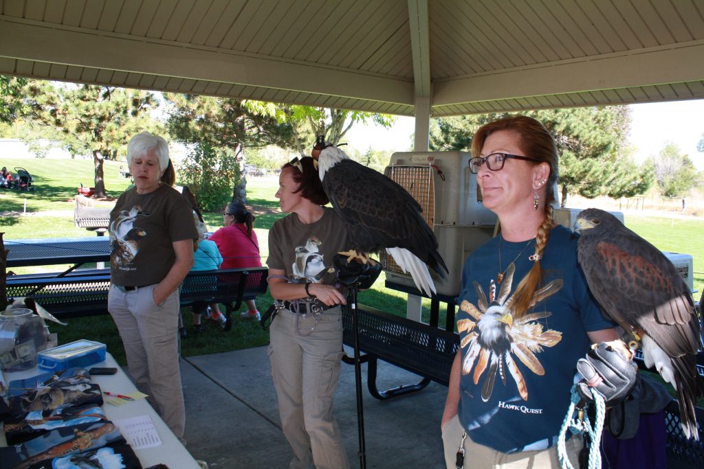 PumpkinFest-HawkQuest