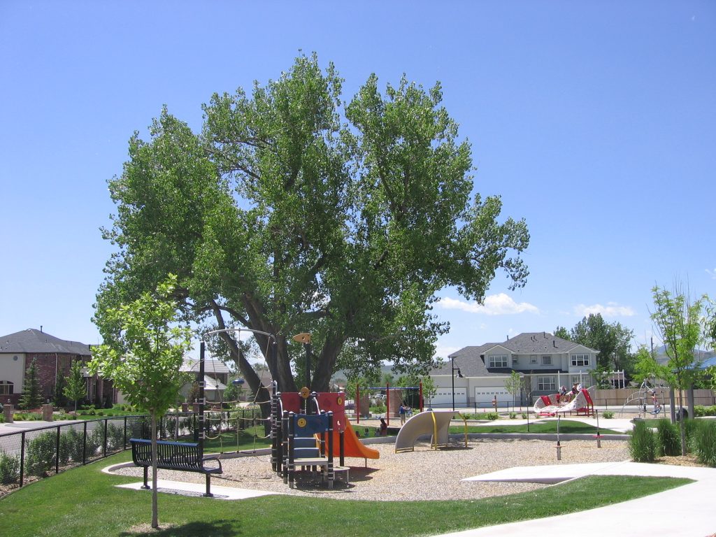 Crestview-Park-playgrounds